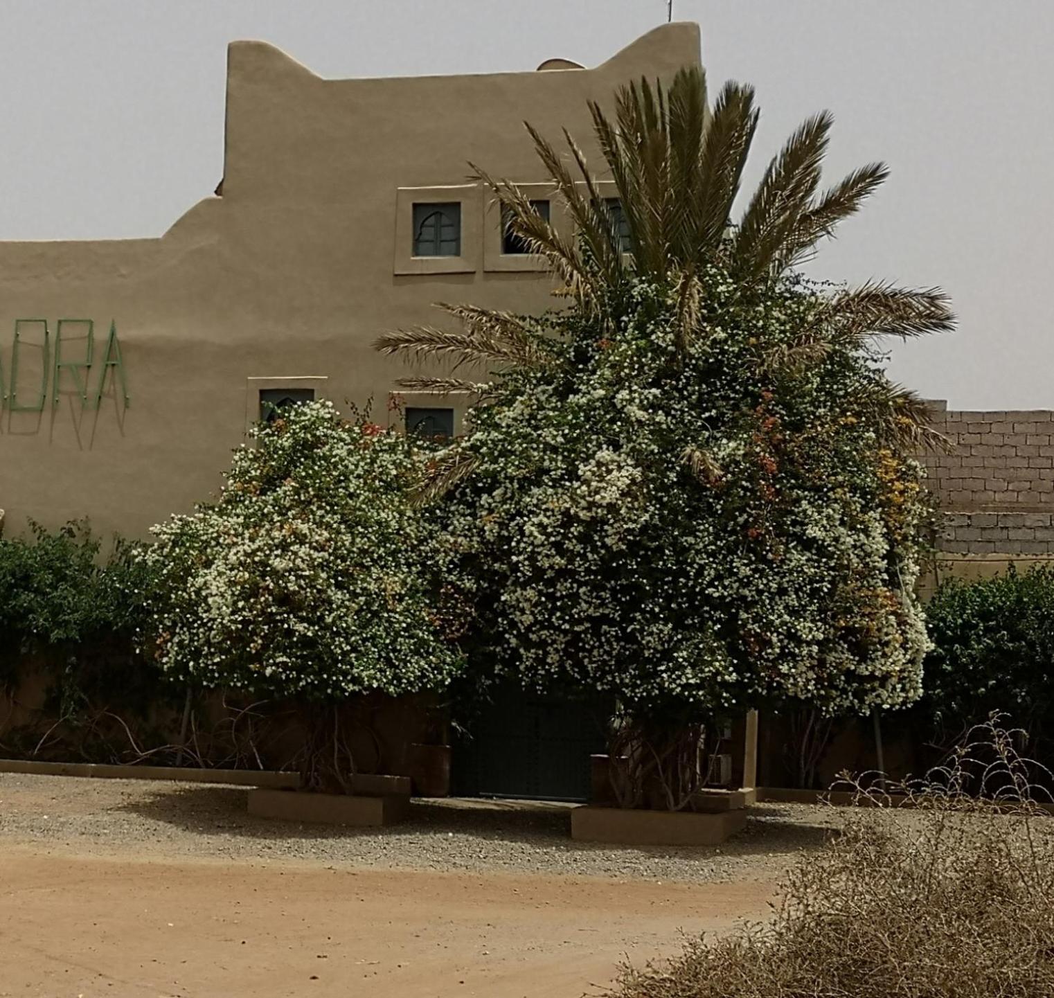 Riad Ain Khadra Taroudant Exterior photo